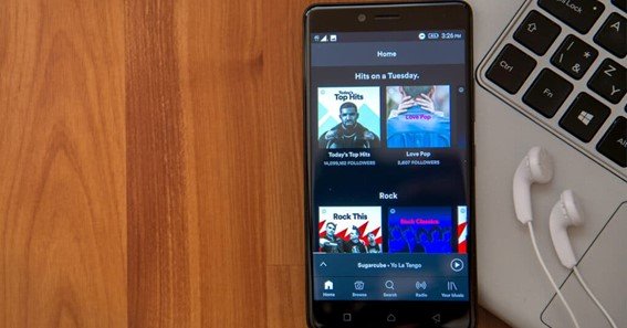 How to See Who Liked Your Playlist on Spotify